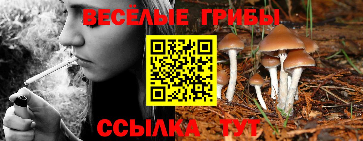 Галлюциногенные грибы MAGIC MUSHROOMS Воткинск